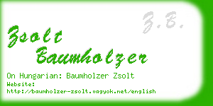 zsolt baumholzer business card